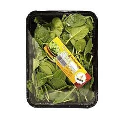 سبزآرنگ بیبی اسفناج